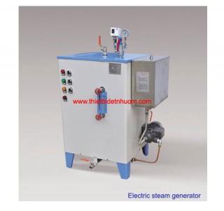Electric steam generator